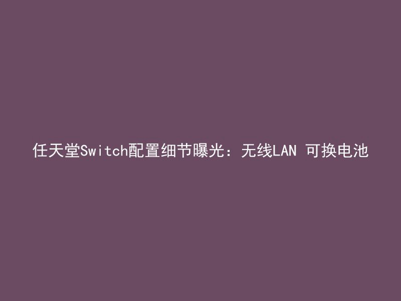 任天堂Switch配置细节曝光：无线LAN 可换电池