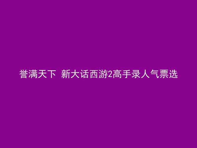 誉满天下 新大话西游2高手录人气票选