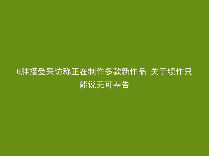 G胖接受采访称正在制作多款新作品 关于续作只能说无可奉告