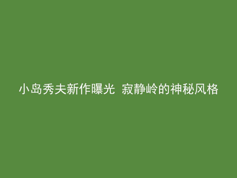 小岛秀夫新作曝光 寂静岭的神秘风格