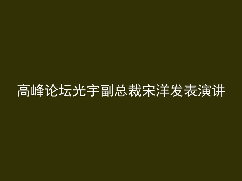 高峰论坛光宇副总裁宋洋发表演讲