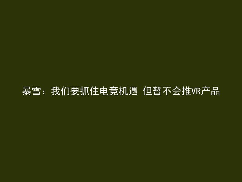 暴雪：我们要抓住电竞机遇 但暂不会推VR产品