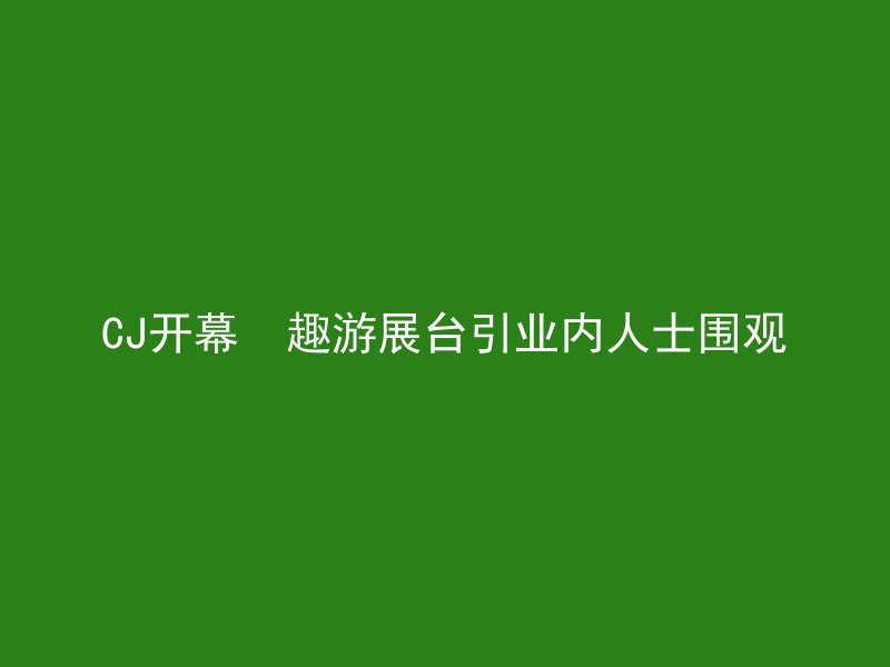 CJ开幕  趣游展台引业内人士围观