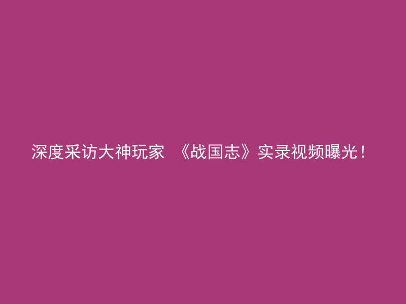 深度采访大神玩家 《战国志》实录视频曝光！