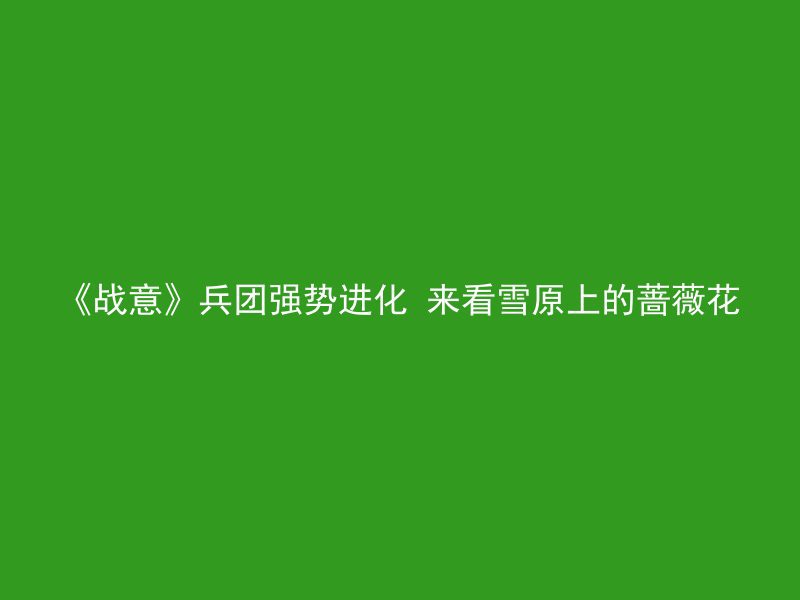 《战意》兵团强势进化 来看雪原上的蔷薇花