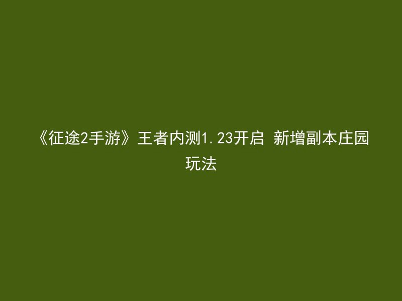 《征途2手游》王者内测1.23开启 新增副本庄园玩法