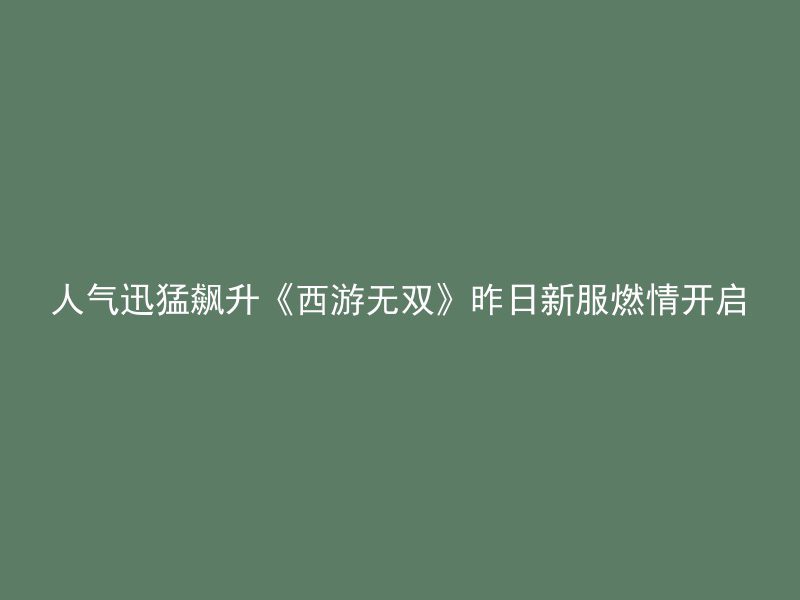 人气迅猛飙升《西游无双》昨日新服燃情开启