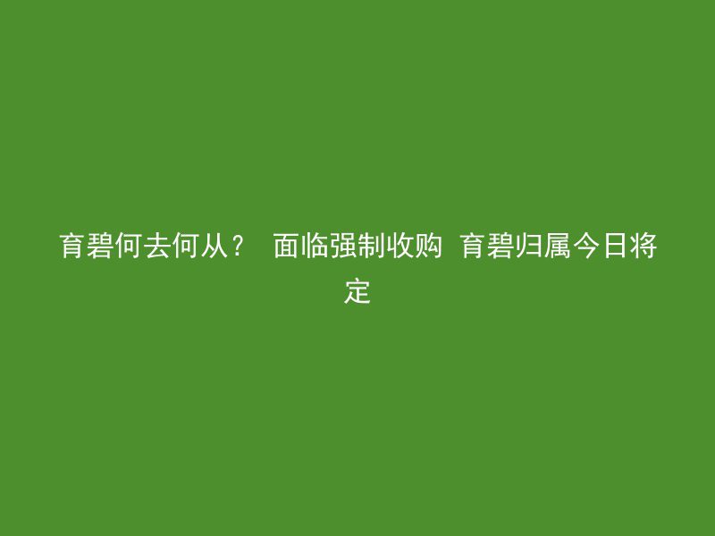 育碧何去何从？ 面临强制收购 育碧归属今日将定