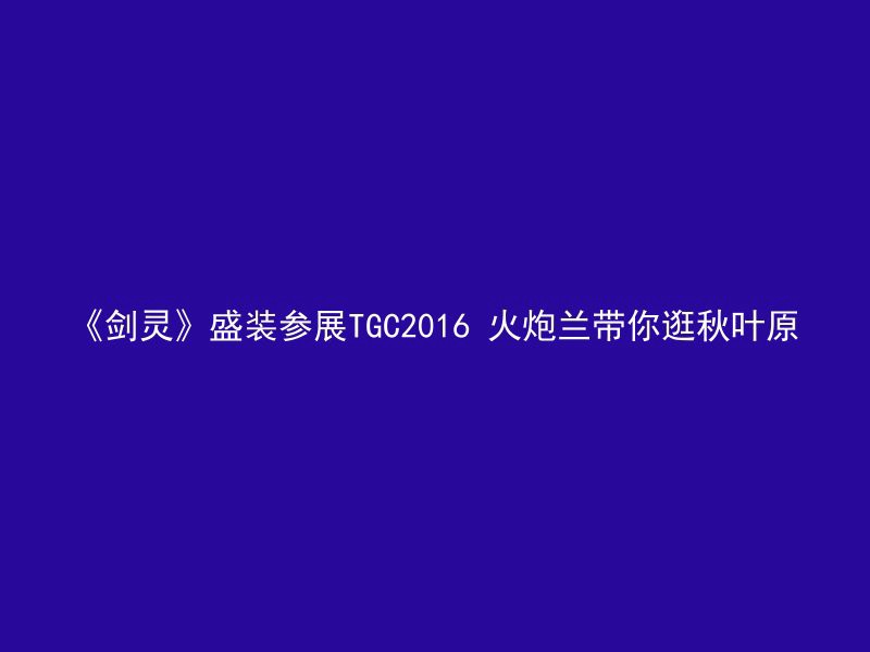 《剑灵》盛装参展TGC2016 火炮兰带你逛秋叶原