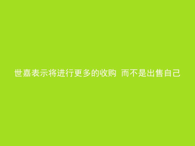 世嘉表示将进行更多的收购 而不是出售自己