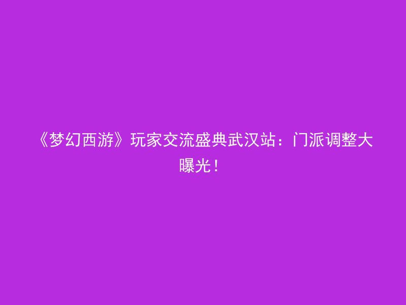 《梦幻西游》玩家交流盛典武汉站：门派调整大曝光！