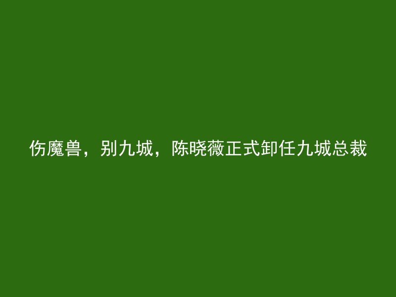 伤魔兽，别九城，陈晓薇正式卸任九城总裁