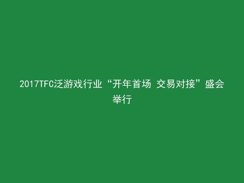 2017TFC泛游戏行业“开年首场 交易对接”盛会举行