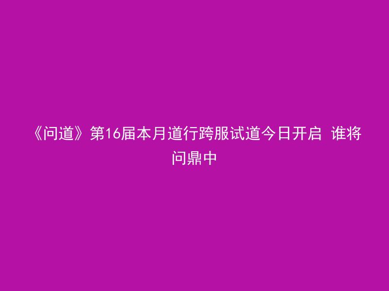 《问道》第16届本月道行跨服试道今日开启 谁将问鼎中