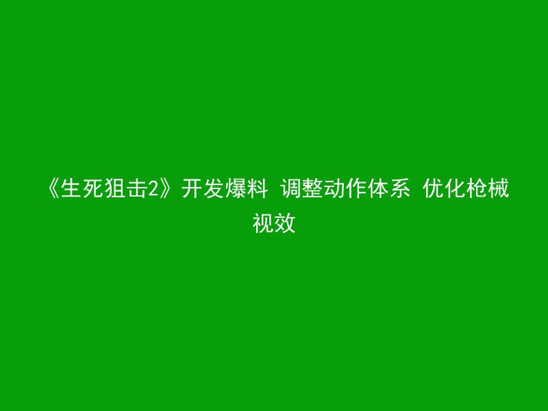 《生死狙击2》开发爆料 调整动作体系 优化枪械视效