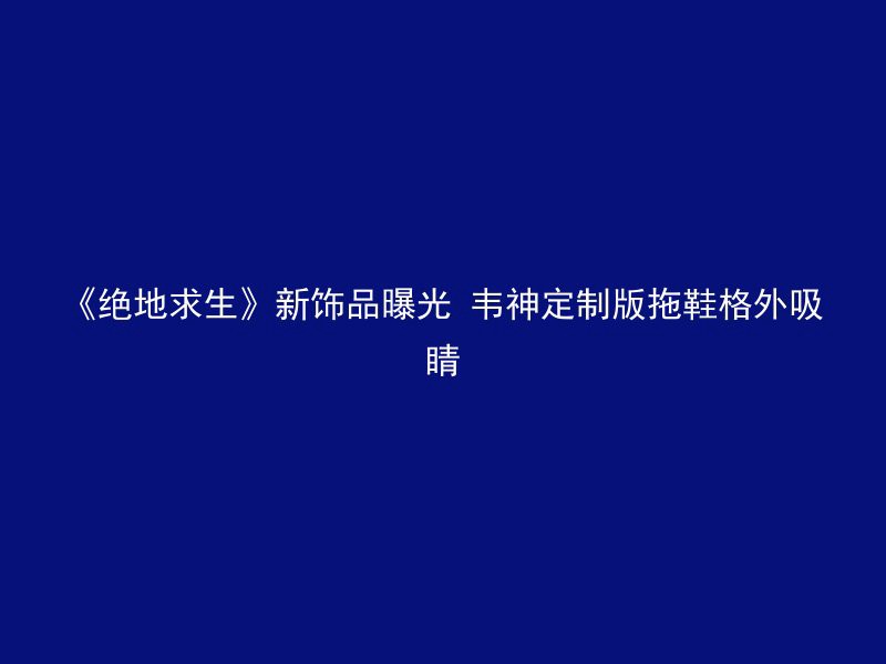 《绝地求生》新饰品曝光 韦神定制版拖鞋格外吸睛