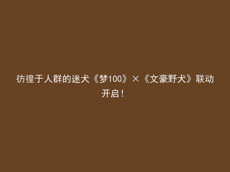 彷徨于人群的迷犬《梦100》×《文豪野犬》联动开启！