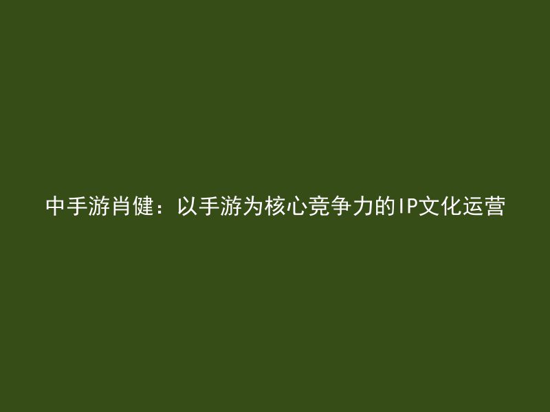 中手游肖健：以手游为核心竞争力的IP文化运营