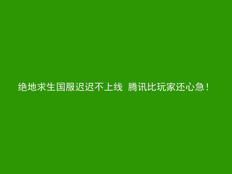 绝地求生国服迟迟不上线 腾讯比玩家还心急！