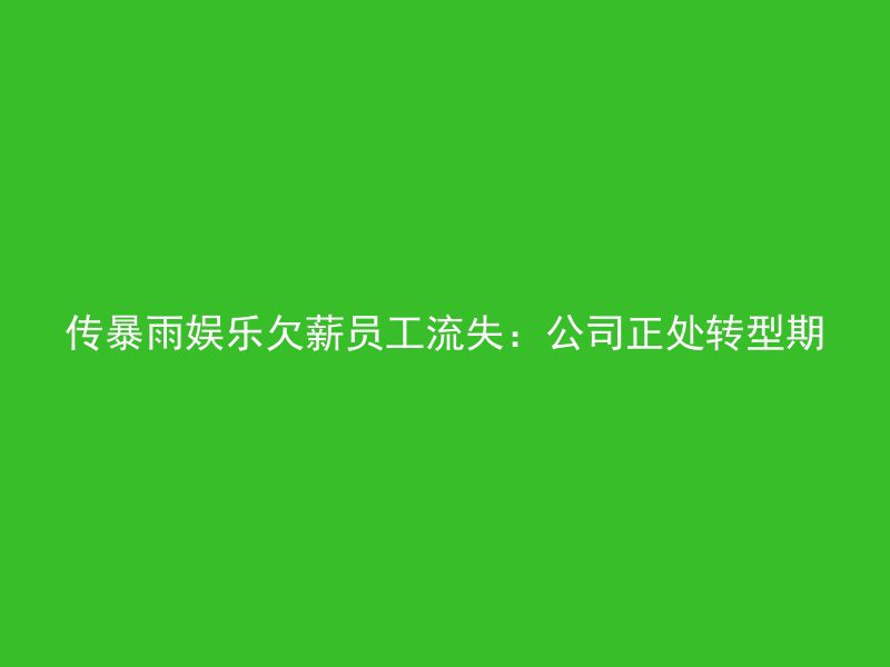 传暴雨娱乐欠薪员工流失：公司正处转型期