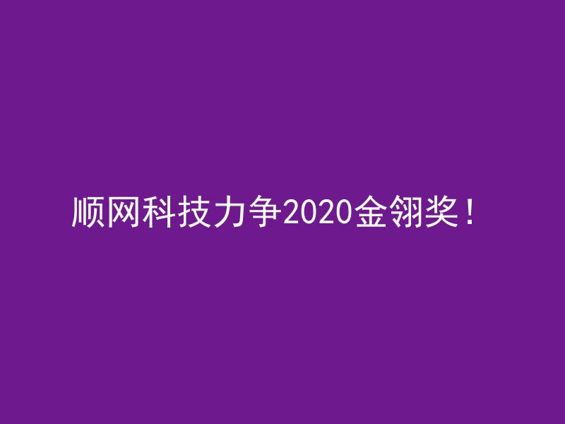 顺网科技力争2020金翎奖！