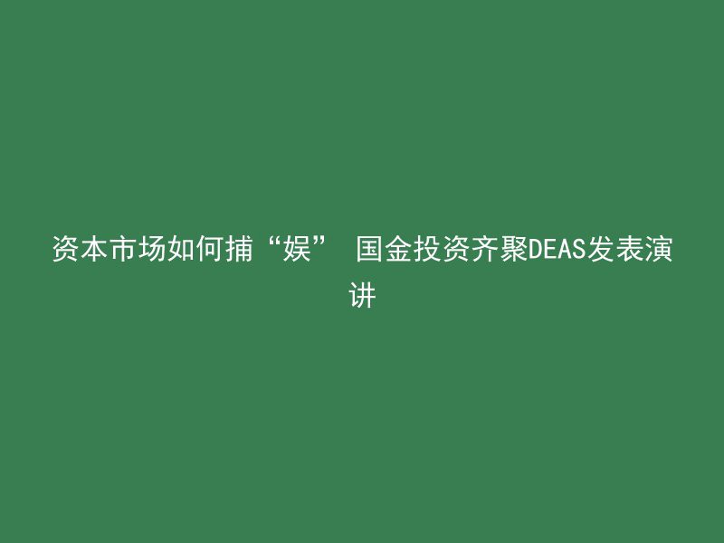 资本市场如何捕“娱” 国金投资齐聚DEAS发表演讲