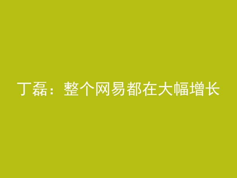 丁磊：整个网易都在大幅增长