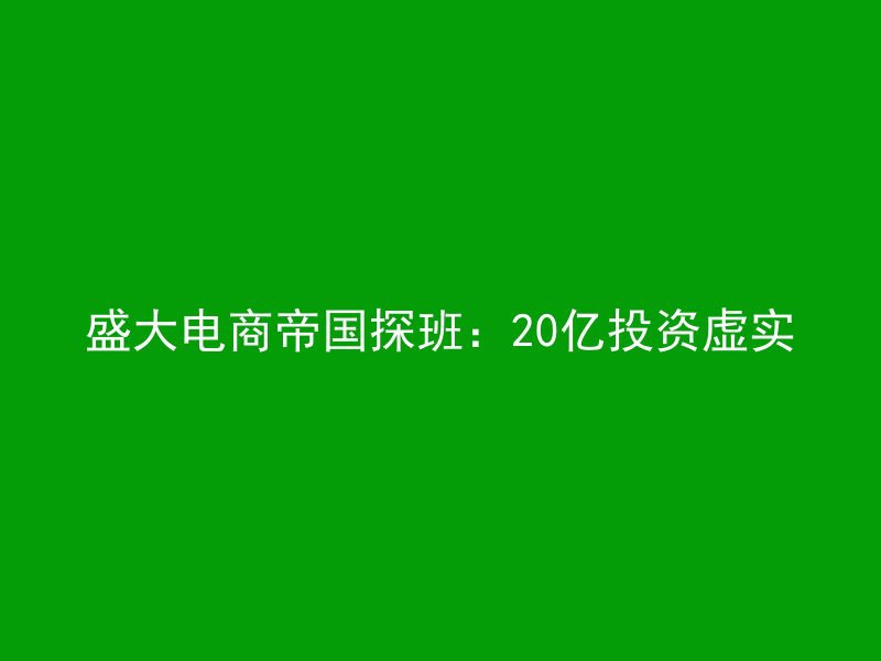 盛大电商帝国探班：20亿投资虚实