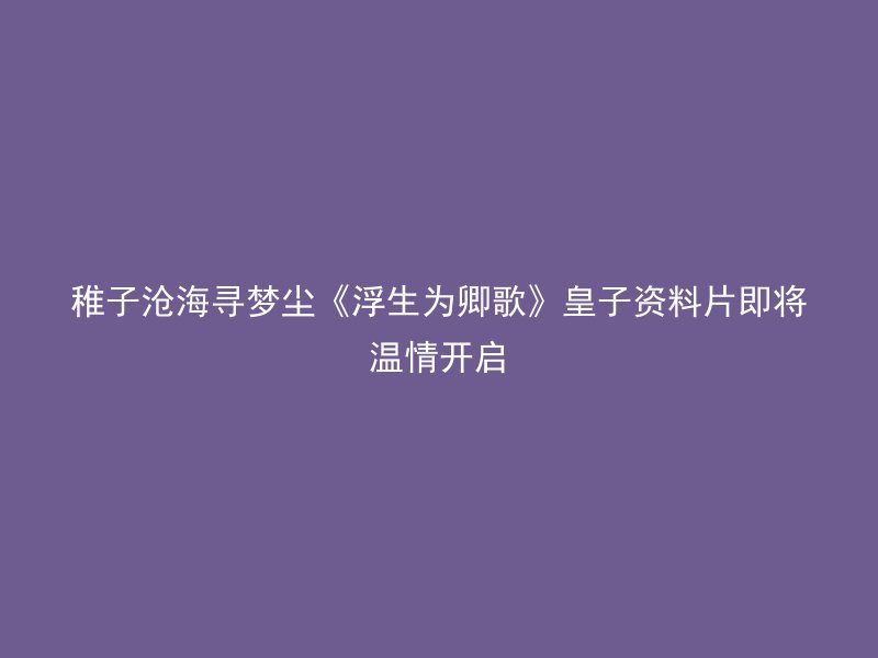 稚子沧海寻梦尘《浮生为卿歌》皇子资料片即将温情开启