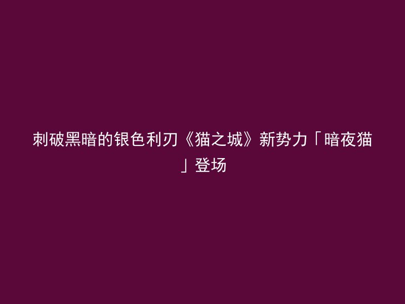 刺破黑暗的银色利刃《猫之城》新势力「暗夜猫」登场