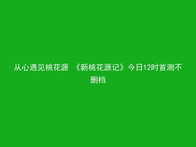 从心遇见桃花源 《新桃花源记》今日12时首测不删档