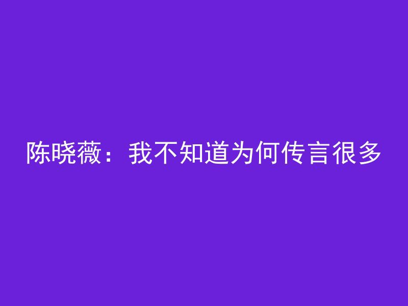 陈晓薇：我不知道为何传言很多