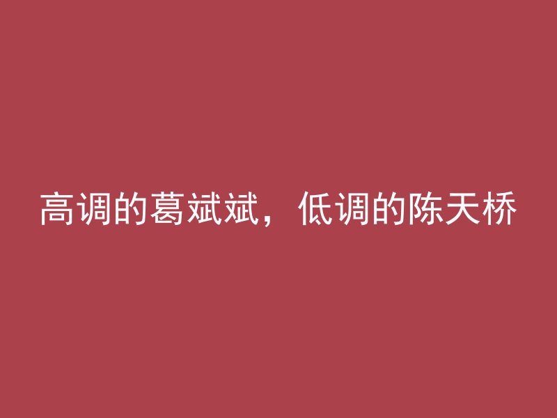 高调的葛斌斌，低调的陈天桥