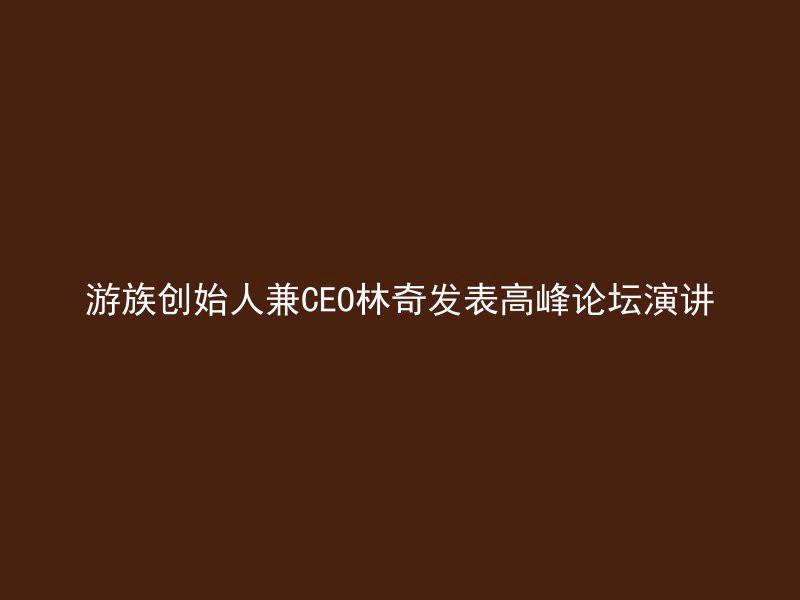 游族创始人兼CEO林奇发表高峰论坛演讲