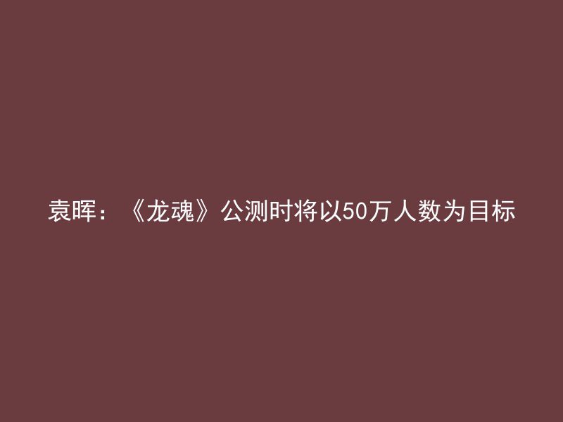 袁晖：《龙魂》公测时将以50万人数为目标