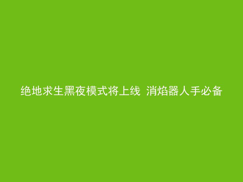 绝地求生黑夜模式将上线 消焰器人手必备