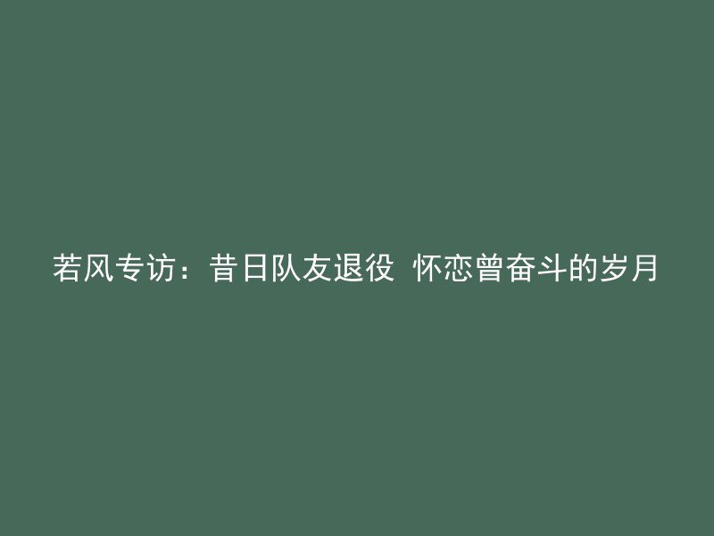 若风专访：昔日队友退役 怀恋曾奋斗的岁月