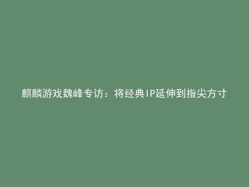 麒麟游戏魏峰专访：将经典IP延伸到指尖方寸