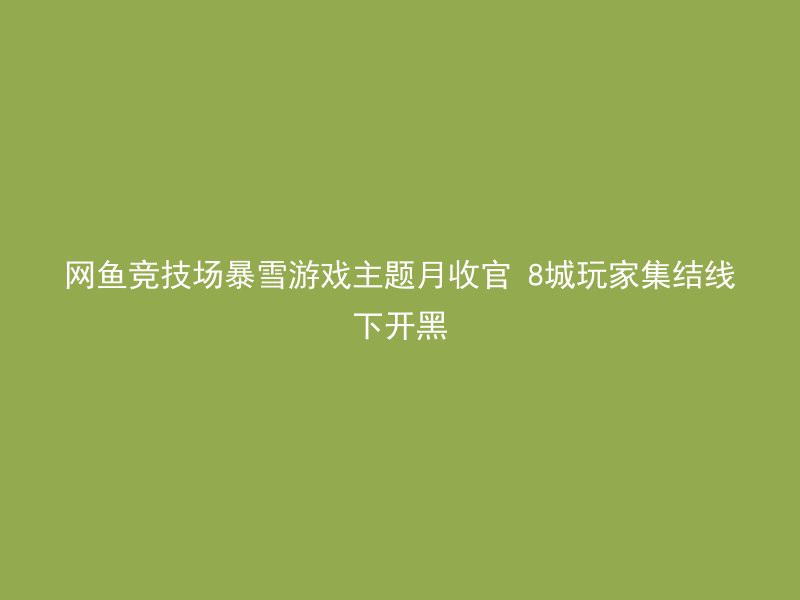 网鱼竞技场暴雪游戏主题月收官 8城玩家集结线下开黑