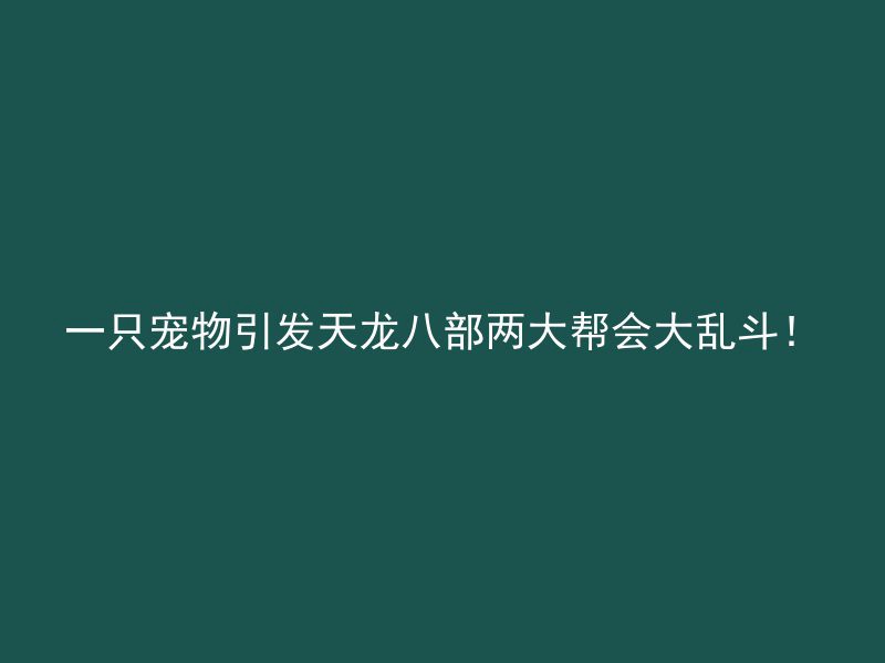 一只宠物引发天龙八部两大帮会大乱斗！