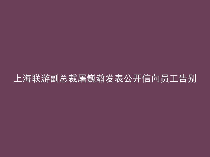 上海联游副总裁屠巍瀚发表公开信向员工告别