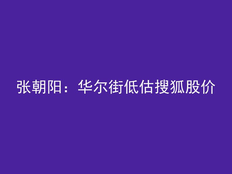 张朝阳：华尔街低估搜狐股价