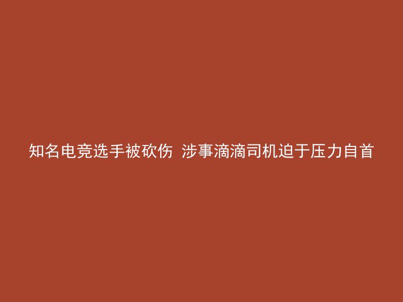 知名电竞选手被砍伤 涉事滴滴司机迫于压力自首