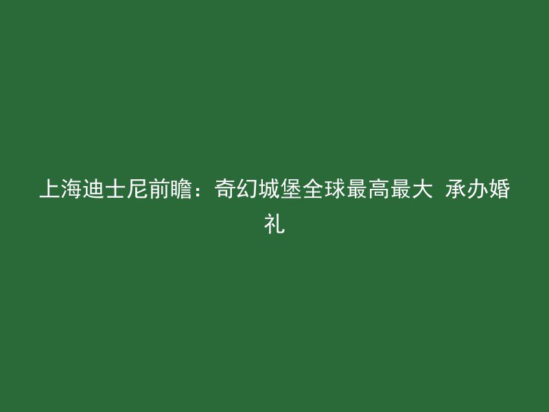 上海迪士尼前瞻：奇幻城堡全球最高最大 承办婚礼