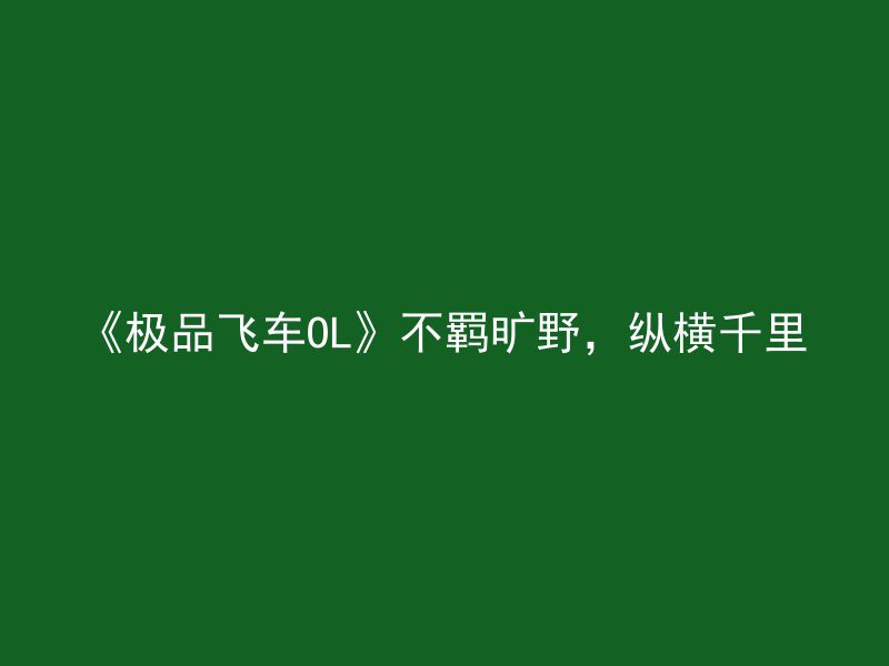 《极品飞车OL》不羁旷野，纵横千里