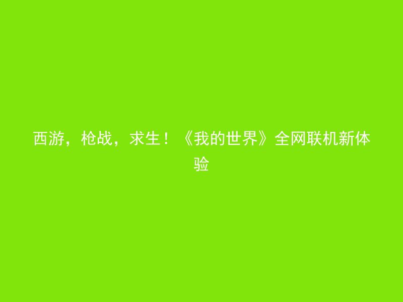 西游，枪战，求生！《我的世界》全网联机新体验