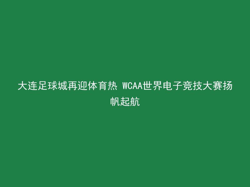 大连足球城再迎体育热 WCAA世界电子竞技大赛扬帆起航