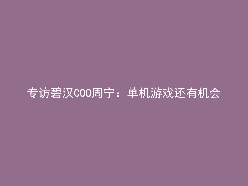 专访碧汉COO周宁：单机游戏还有机会