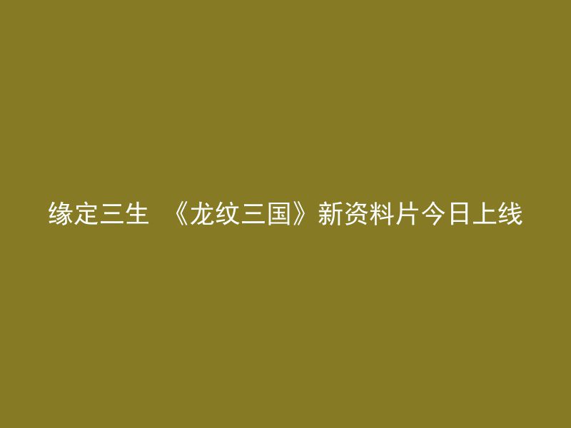 缘定三生 《龙纹三国》新资料片今日上线