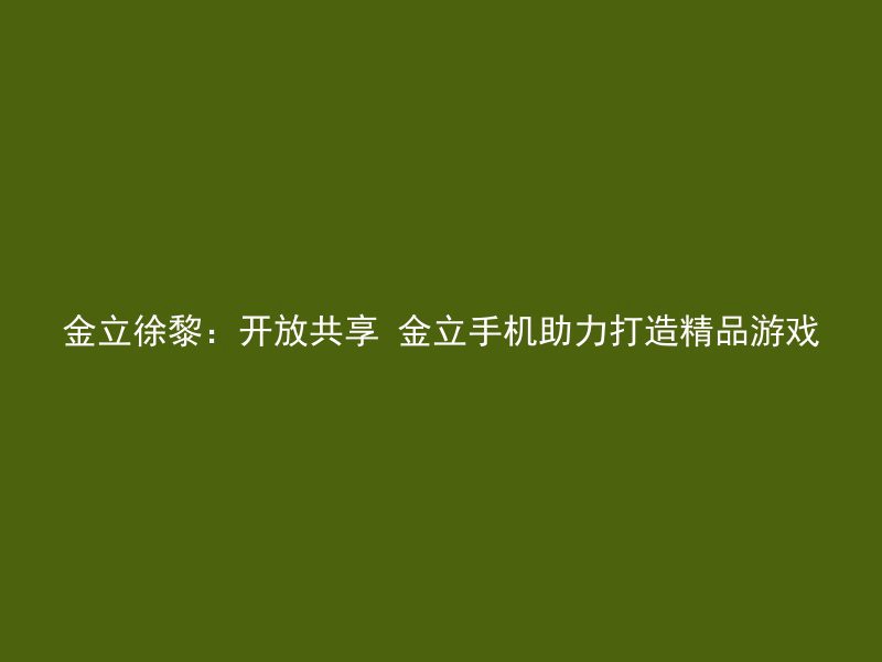 金立徐黎：开放共享 金立手机助力打造精品游戏